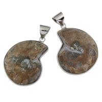 Ammonit fossile Edelstein Anhänger, Ammolit, mit Messing, Platinfarbe platiniert, 29x38x8mm, Bohrung:ca. 6x8mm, verkauft von PC