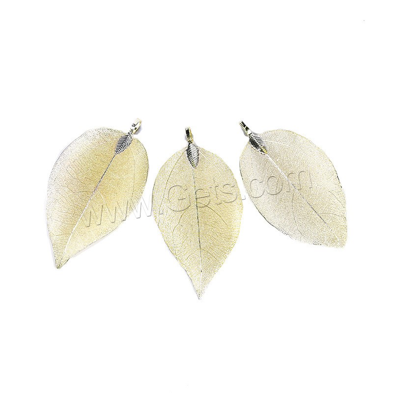 Brass Leaf Pendants, with Real Leaf, plated, hardwearing & different size for choice, more colors for choice, Sold By PC