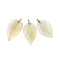 Brass Leaf Pendants, with Real Leaf, plated, hardwearing 