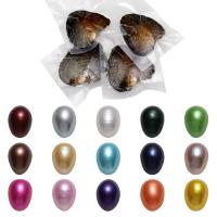 Ostra de la perla de agua dulce cultivadas amor deseo, Perlas cultivadas de agua dulce, Arroz, Madre Perla, color mixto, 7-8mm, 50PCs/Grupo, Vendido por Grupo