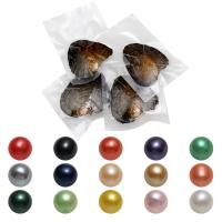 Freshwater Cultured Love Wish Pearl Oyster, Freshwater Pearl, Round, mother of Pearl, mixed colors, 7-8mm 