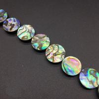 Abalone Shell Beads Approx 1mm 