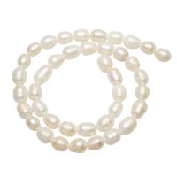 Perlas Arroz Freshwater, Perlas cultivadas de agua dulce, natural, Blanco, 8-9mm, agujero:aproximado 0.8mm, longitud:aproximado 15 Inch, Vendido por Sarta