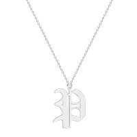 Stainless Steel Jewelry Necklace, with 50mm extender chain, plated, Unisex 14*17mm Approx 17.7 Inch 