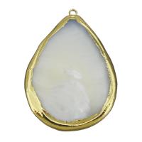Brass Jewelry Pendants, with White Shell, gold color plated Approx 1.5mm 