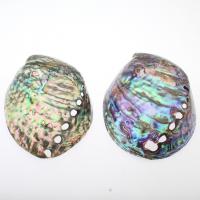 Abalone Shell Pendant Component, natural, no hole, multi-colored, 80-130x70-100x20-40mm 