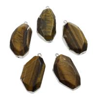 Tiger Eye Pendants, with Zinc Alloy, silver color plated, natural, 25*48*15mm 
