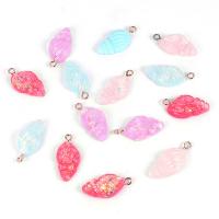 Resin Jewelry Pendant, Conch 25-30mm Approx 2mm 