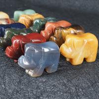 Полудрагоценный камень Коробочные украшения Драгоценный камень, Свинья, полированный, разноцветный 12ПК/Box, продается Box