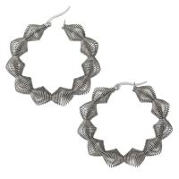 Stainless Steel Lever Back Earring, mesh & for woman, original color 