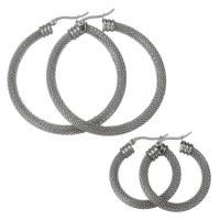 Stainless Steel Lever Back Earring, mesh & for woman, original color 