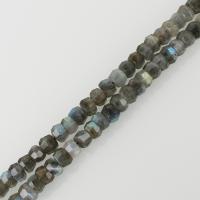 Labradorite Beads, Round Approx 1.5mm Approx 16.5 Inch, Approx 