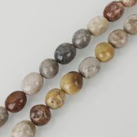 Хризантемный камень, камень хризантема, Круглая, разноцветный отверстие:Приблизительно 1.5mm, длина:Приблизительно 16 дюймовый, Приблизительно 24ПК/Strand, продается Strand