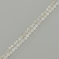 Natural White Shell Beads, white Approx 1mm Approx 15.5 Inch, Approx 