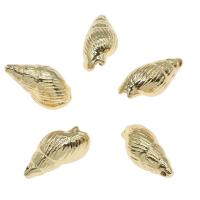 Brass Jewelry Pendants, Conch, gold color plated Approx 1mm, Approx 