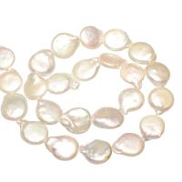 Perlas cultivadas de agua dulce Abalorio, Redondo aplanado, natural, Blanco, 13-14mm, agujero:aproximado 0.8mm, aproximado 24PCs/Sarta, Vendido por Sarta