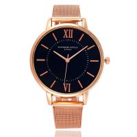 Uhrenarbänder für Frauen, Zinklegierung, Edelstahl Dornschließe, keine, frei von Nickel, Blei & Kadmium, 240x18x10mm, verkauft von PC