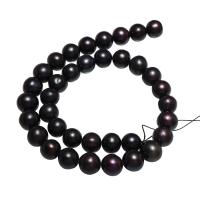 Round Cultured Freshwater Pearl Beads, black, 11-12mm Approx 0.8mm, Approx 