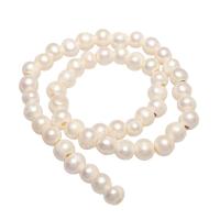 Round Cultured Freshwater Pearl Beads, natural, white, 9-10mm Approx 3mm, Approx 