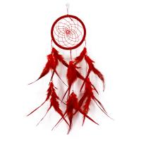 Fashion Dream Catcher, Iron, with Cotton Thread & Feather 500mm 
