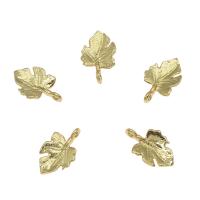 Brass Leaf Pendants, plated Approx 0.5mm 
