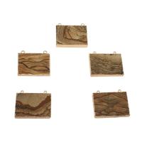 Picture Jasper Connector, with Brass, Rectangle, gold color plated, 1/1 loop Approx 2mm 