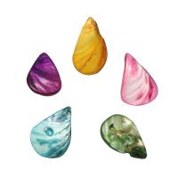 Shell Jewelry Findings, mixed colors - Approx 