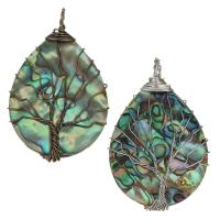 Brass Jewelry Pendants, with Abalone Shell, plated Approx 