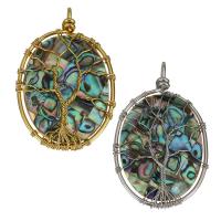 Brass Jewelry Pendants, with Abalone Shell, plated Approx 