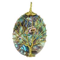 Brass Shell Pendants, with Abalone Shell, gold color plated Approx 