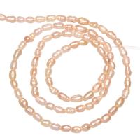 Rice Cultured Freshwater Pearl Beads, natural 2-2.5mm Approx 0.8mm 