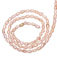 Rice Cultured Freshwater Pearl Beads, natural 2.8-3.2mm Approx 0.8mm 