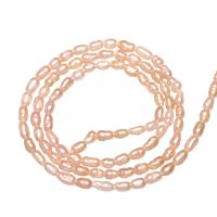 Rice Cultured Freshwater Pearl Beads, natural 2.3-2.8mm Approx 0.8mm 