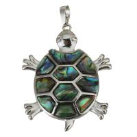Brass Shell Pendants, with Abalone Shell, Turtle, silver color plated Approx 
