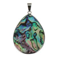 Brass Shell Pendants, with Abalone Shell, Teardrop, silver color plated Approx 