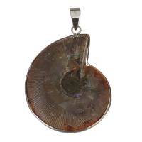 Brass Shell Pendants, with Shell, Conch, silver color plated Approx 