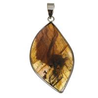 Brass Shell Pendants, with Shell, silver color plated Approx 