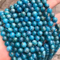 Apatite Beads, Apatites, Round, polished blue 