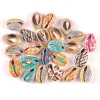 composant varié de coquillage, coquille, bijoux de mode & DIY, couleurs mélangées, 16-19mm, Vendu par PC