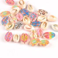 Shell Jewelry Findings, fashion jewelry & DIY, mixed colors, 16-19mm 