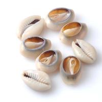 Shell Jewelry Findings, fashion jewelry & DIY 
