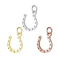 Stainless Steel Pendants, Horseshoes, for woman Approx 5mm 