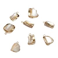 Brass Shell Pendants, with Brass, gold color plated, white - Approx 1.8mm 