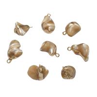 Brass Shell Pendants, with Brass, gold color plated - Approx 1.6mm 