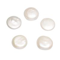Freshwater Pearl Cabochon, Flat Round, natural, white - 