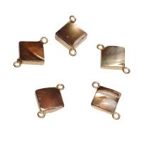 Shell Jewelry Connector, with Brass, Squaredelle, gold color plated, 1/1 loop Approx 1.8mm 