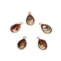 Cultured Freshwater Pearl Brass Pendant, with Brass, Teardrop, gold color plated - Approx 1.8mm 