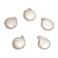 No Hole Cultured Freshwater Pearl Beads, natural, DIY, white - 