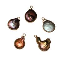 Cultured Freshwater Pearl Brass Pendant, with Brass, gold color plated, 16*22*5mm-12*15*4mm Approx 1.8mm 