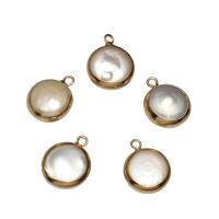 Cultured Freshwater Pearl Brass Pendant, with Brass, gold color plated, 14*18*6mm-13*16*4mm 